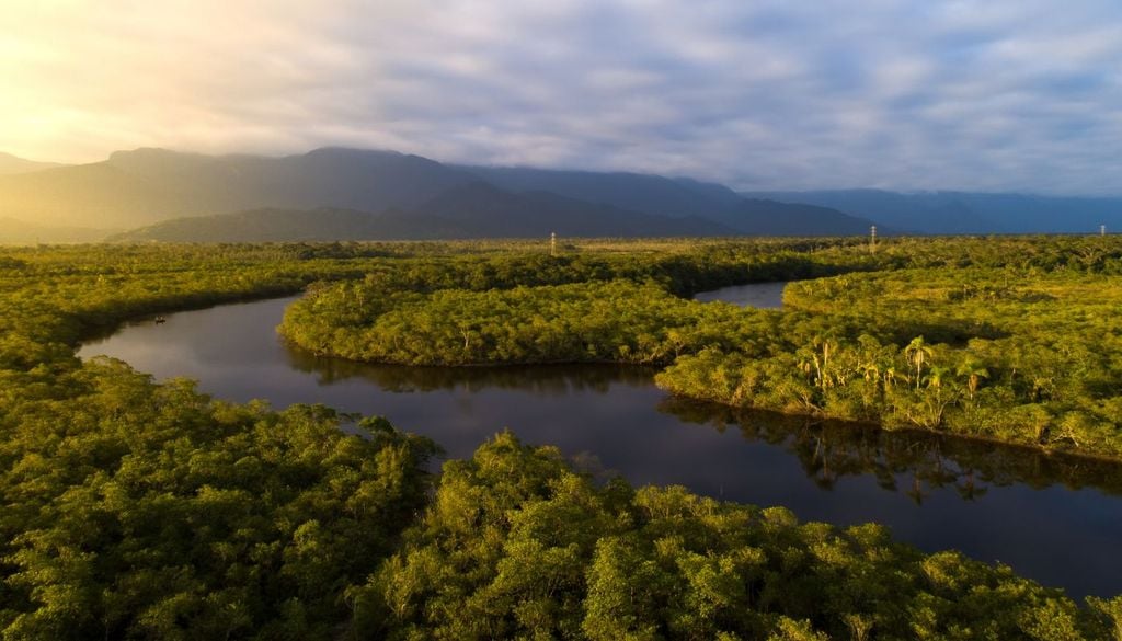 La foresta amazzonica è la foresta pluviale più grande del mondo e si estende in nove paesi, tra cui il Brasile