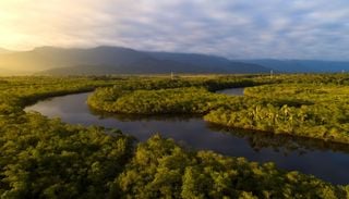 Come salvare l'Amazzonia: la soluzione del Brasile &egrave; semplice ed efficace