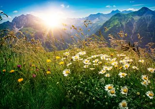 Meteo, come sarà il mese di aprile: la linea di tendenza