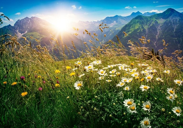 Meteo, come sarà il mese di aprile: la linea di tendenza Meteo, come sarà il mese di aprile: la linea di tendenza