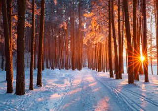 Meteo, come sarà il mese di febbraio in Italia: vedremo neve e freddo?