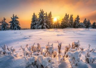 Come sarà gennaio 2024? Lo stratwarming riuscirà a favorire un cambio di circolazione in Europa?