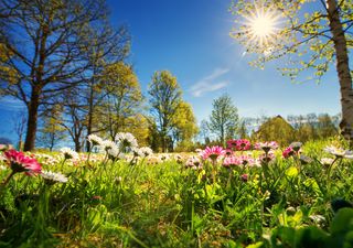 Come sarà la primavera 2023? Ecco l'ultima linea di tendenza