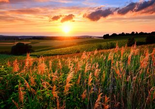 Meteo Italia, come sarà la seconda metà di marzo: arriveranno le piogge?