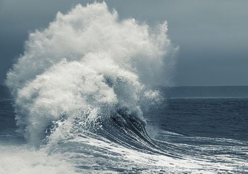 Come si comportano i pesci mediterranei prima e durante l'arrivo di una grossa mareggiata?