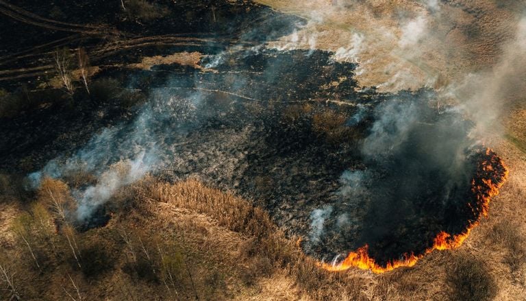 Prevenire insieme i danni di siccit&agrave; e alluvioni, due conseguenze del cambiamento climatico che si aggravano a vicenda