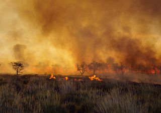 Começa época de alertas para queimadas no Brasil