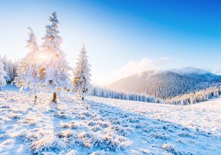 Hoje é o Dia Mundial da Neve: saiba como se formam estes cristais de gelo!