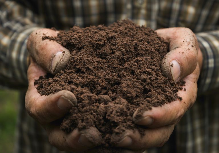 Punhado de terra. Punhado de terra.
