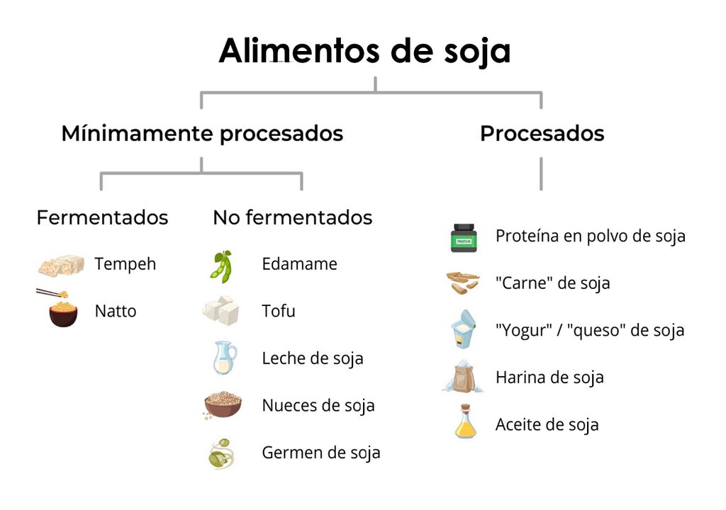 Alimentos de soja