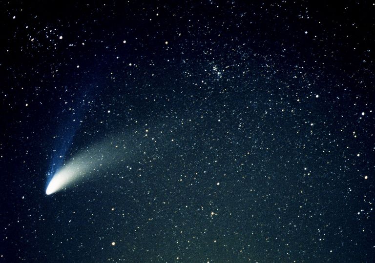 Cometa visibile dall'Italia, ecco come vedere Neowise a luglio Cometa visibile dall'Italia, ecco come vedere Neowise a luglio