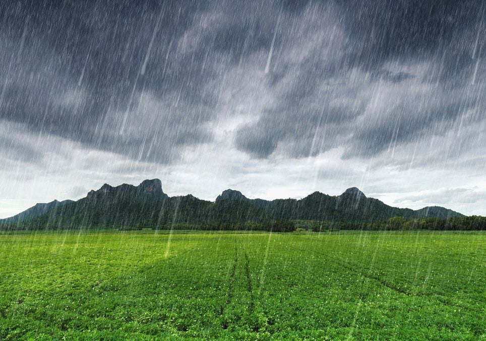 Comienza a disminuir la sequía en México, gracias a la temporada de lluvias con los primeros ciclones tropicales. Noticias en tiempo real