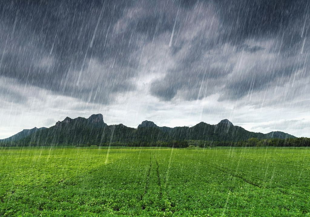 La sequía disminuye y llega la temporada de lluvias La sequía disminuye y llega la temporada de lluvias