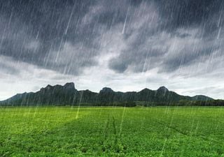Comienza a disminuir la sequía en México, gracias a la temporada de lluvias con los primeros ciclones tropicales