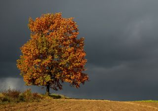 Comienza abril, cede el frío en Argentina y vuelven las tormentas