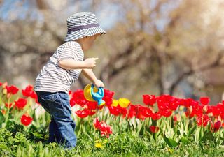 ¡Se viene, se viene! Te contamos cuándo comienza la primavera en Chile