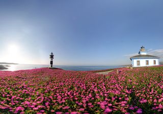 Predicción estacional: ¿qué tiempo hará esta primavera climatológica?