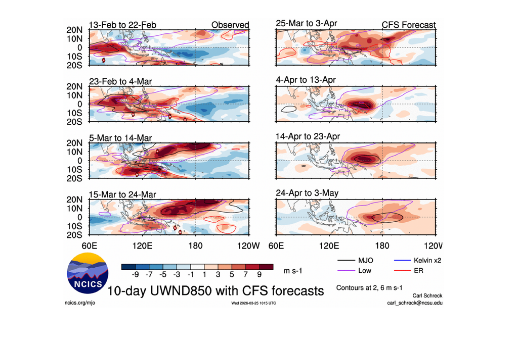 WWB futuro Mapas de anomalías de viento del oeste cercano a la superficie. A la izquierda observados y a la derecha pronosticados. Fuente NCICS.