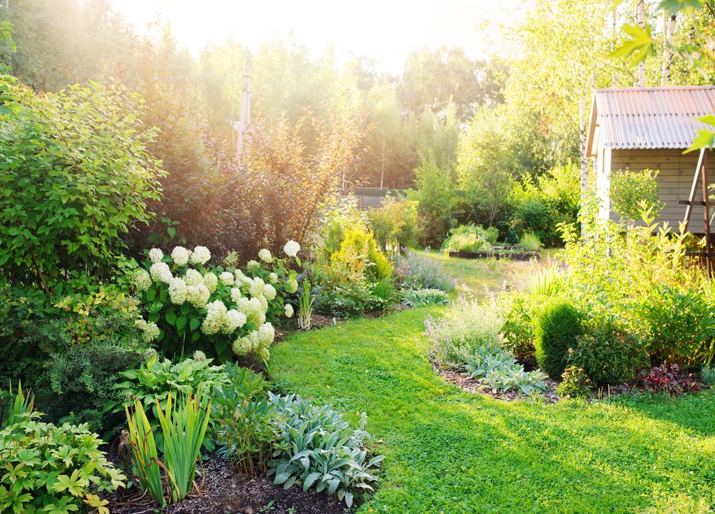Un jardin avec du gazon, pourquoi pas mais en l'intégrant à un environnement arboré ! Un jardin avec du gazon, pourquoi pas mais en l'intégrant à un environnement arboré !