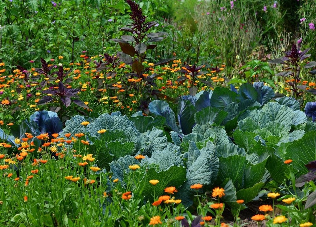 La préparation d'un bon sol dès cet automne vous permettra d'avoir un joli potager. L'ajout de fleurs sera lui aussi bénéfique au printemps. La préparation d'un bon sol dès cet automne vous permettra d'avoir un joli potager. L'ajout de fleurs sera lui aussi bénéfique au printemps.