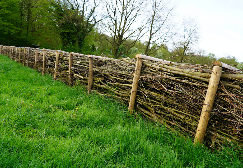 Une haie sèche permet d'avoir un amas de branches bloquant le vent et les regards. Rapidement mise en place, elle est durable si bien construite.