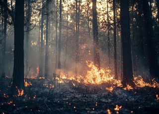 Comment expliquer ces nombreux incendies ces derniers jours en Écosse ?