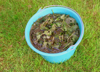 Comment faire et utiliser son engrais maison au potager ? 