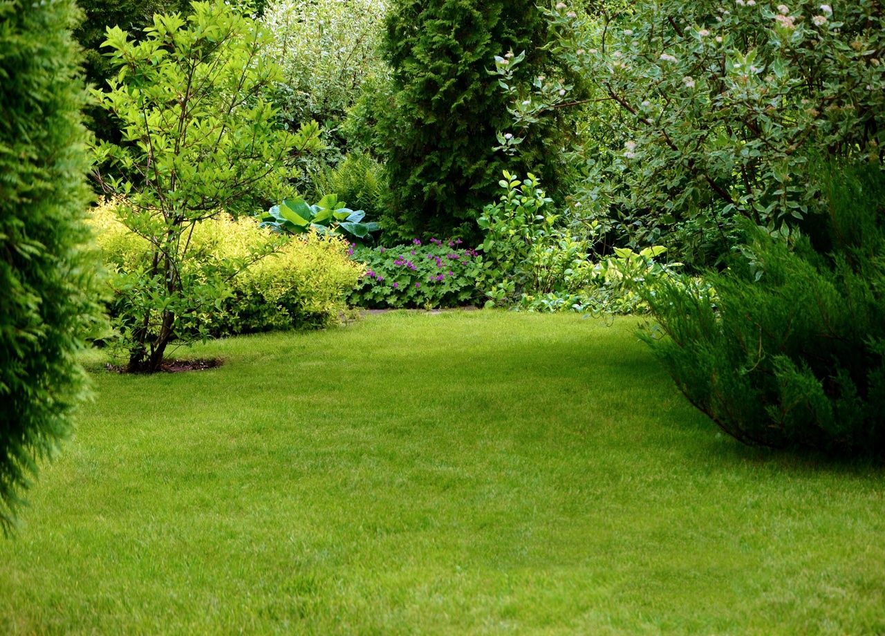 Comment faire pour avoir une belle pelouse ou jardin d'ici le printemps ? Voici quelques trucs et astuces