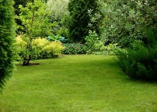 Comment faire pour avoir une belle pelouse ou jardin d'ici le printemps ? Voici quelques trucs et astuces
