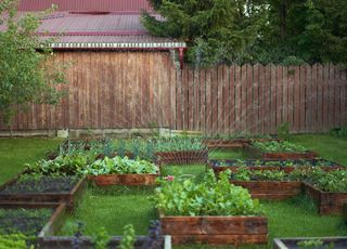 Comment faire pour limiter l'impact de la chaleur parfois caniculaire sur mon potager ? Voici quelques trucs et astuces