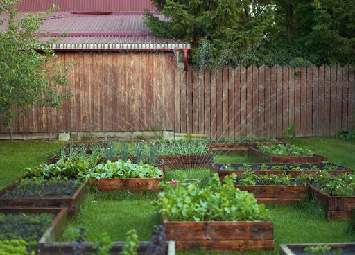 Comment faire pour limiter l'impact de la chaleur parfois caniculaire sur mon potager ? Voici quelques trucs et astuces