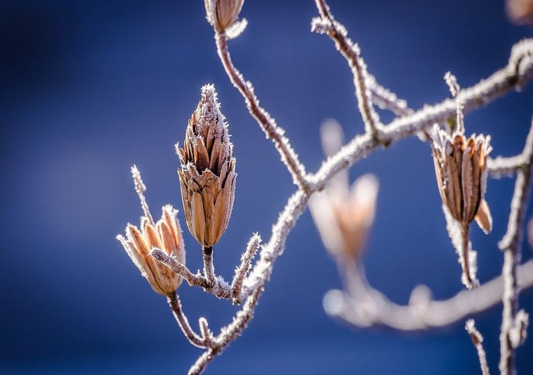 Comment rester en pleine santé avec ces écarts de températures ? Comment rester en pleine santé avec ces écarts de températures ?
