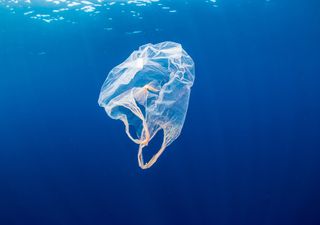 Comment le plastique peut-il devenir le tissu du futur ?