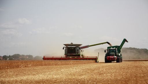 Comment les agriculteurs fran&ccedil;ais se pr&eacute;parent-ils &agrave; vivre les canicules ?