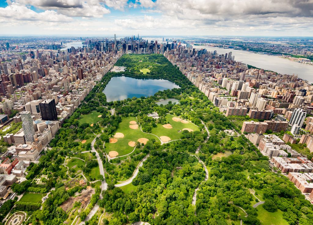 Vegetation Luftverschmutzung New-York