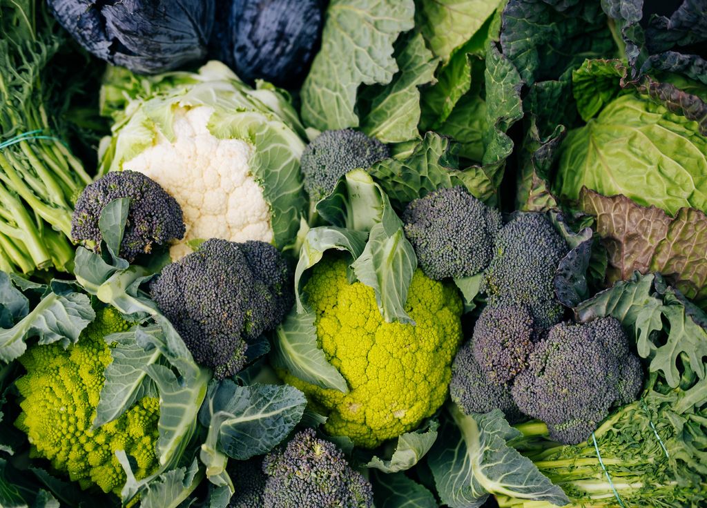 Les choux seront bientôt prêts au potager ! Un excellent moyen de faire le plein de vitamines durant la saison froide. Les choux seront bientôt prêts au potager ! Un excellent moyen de faire le plein de vitamines durant la saison froide.