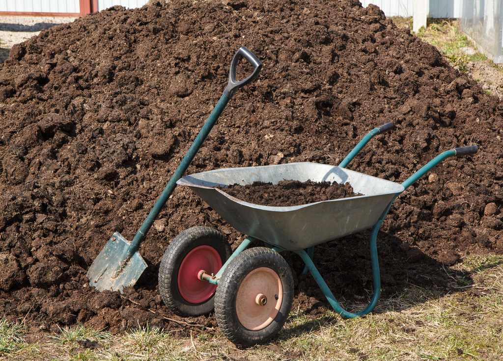 Si vous mettez du fumier frais, patientez au moins 3 mois avant de planter. Si vous mettez du fumier frais, patientez au moins 3 mois avant de planter.