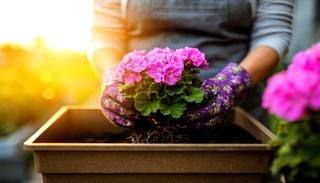 Comment prot&eacute;ger son jardin de la canicule ?