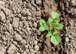 Comment rendre une terre argileuse plus souple ?