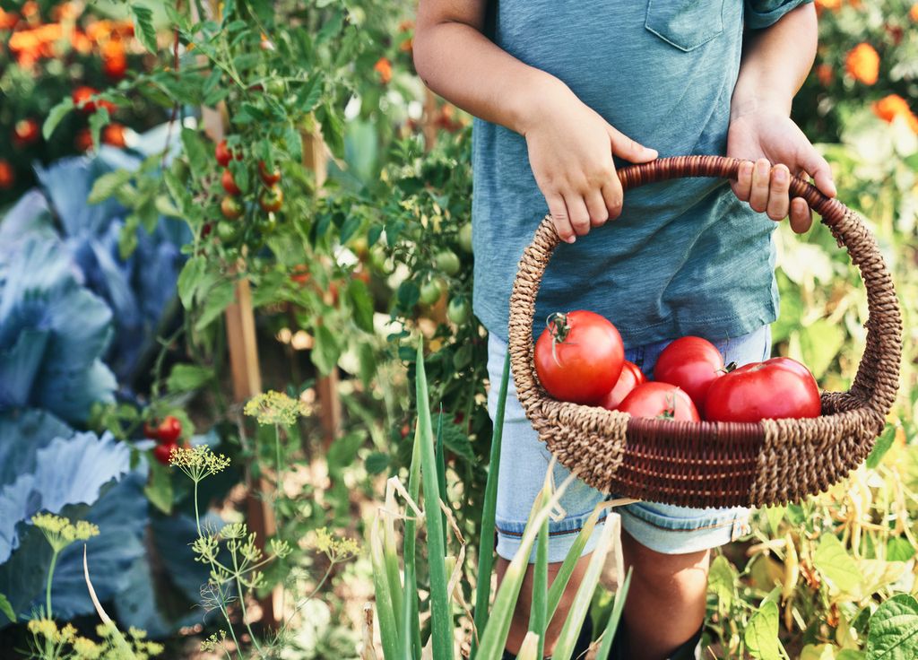 Les légumes du jardin, quel régal !