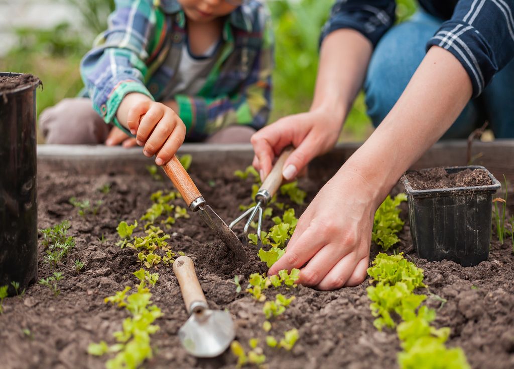 Le jardinage, une activité à faire découvrir à vos enfants ! Le jardinage, une activité à faire découvrir à vos enfants !