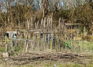 Comment réussir votre potager de la saison prochaine ? Voici des trucs et astuces