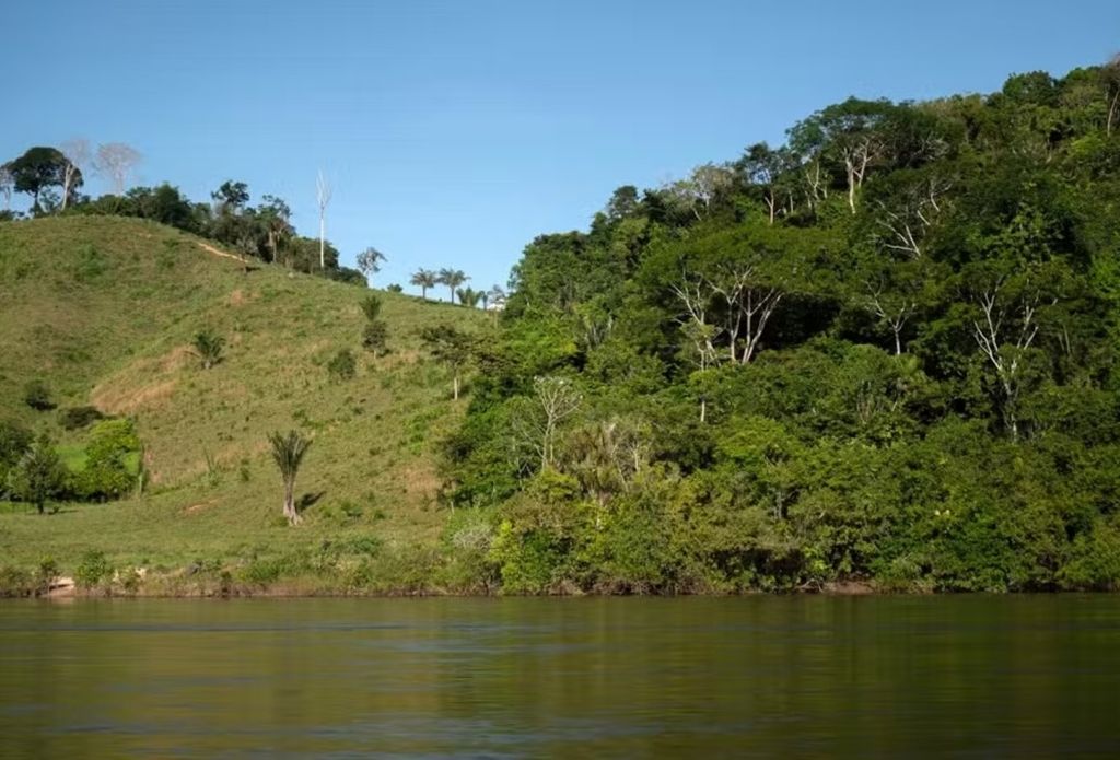 Vista do rio Xingu mostra uma propriedade usada para criação de gado (à esquerda) e uma área preservada da floresta amazônica, na Terra Indígena Koatinemo, no estado do Pará — Foto: Carlos FABAL/AFP