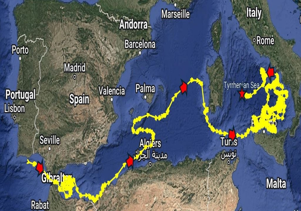 mapa com o trajeto da tartaruga resgata pelo Zoomarine mapa com o trajeto da tartaruga resgata pelo Zoomarine