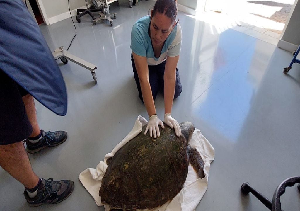 Porto d’Abrigo do Zoomarine Algarve Porto d’Abrigo do Zoomarine Algarve