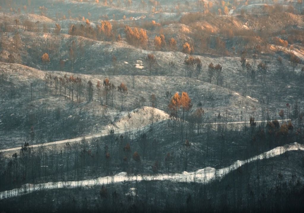 áreas ardidas em 2017 na Mata Nacional de Leiria áreas ardidas em 2017 na Mata Nacional de Leiria