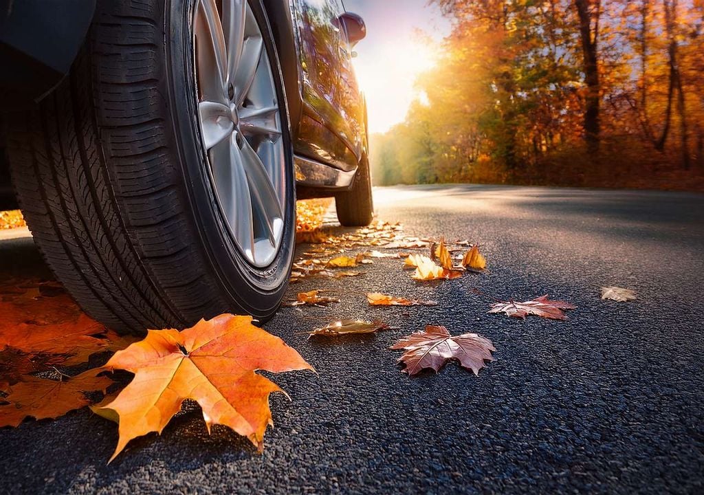 Cómo cuidar los neumáticos en otoño Cómo cuidar los neumáticos en otoño