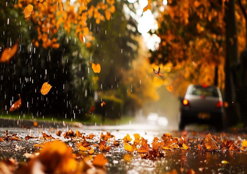 Cuidados de los neumáticos en otoño Cuidados de los neumáticos en otoño