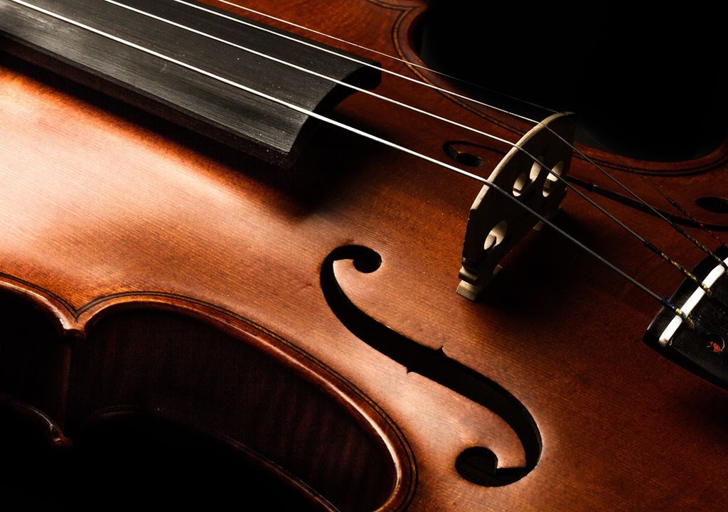 humedad temperatura instrumentos de cuerda guitarra bajo violín deshumificador higrómetro