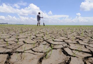 Como as mudanças climáticas têm alterado a mentalidade e os planos dos brasileiros?